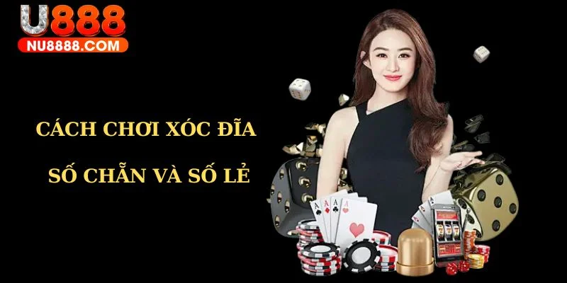 Cách chơi xóc đĩa số lẻ và số chẳn