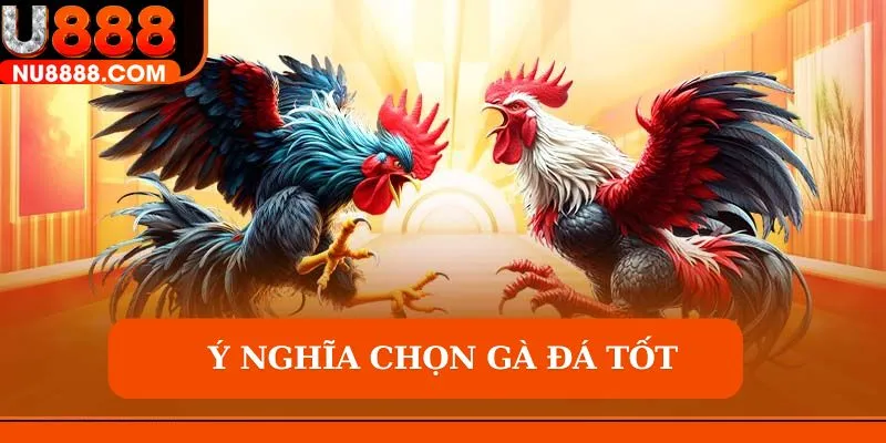 Ý nghĩa và vai trò chọn gà đá